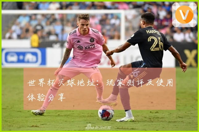 世界杯买球地址：玩家测评及使用体验分享