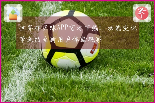 世界杯买球APP官方下载：功能变化带来的全新用户体验观察