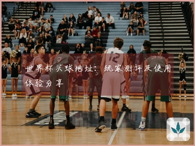 世界杯买球地址：玩家测评及使用体验分享