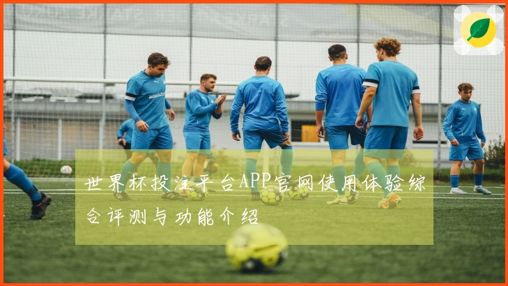 世界杯投注平台APP官网使用体验综合评测与功能介绍