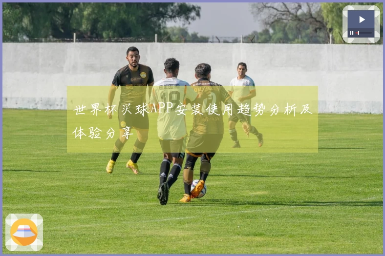 世界杯买球APP安装使用趋势分析及体验分享