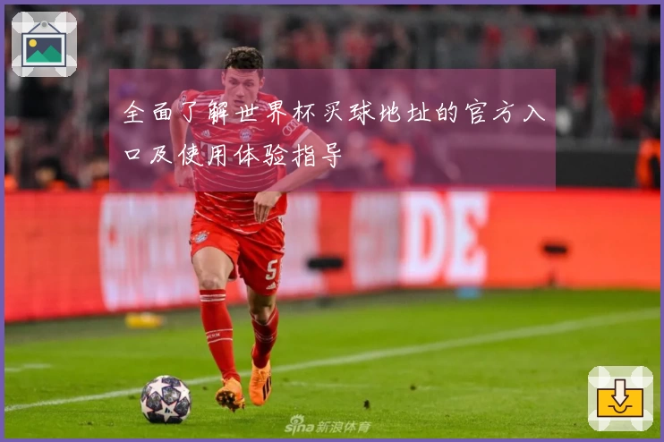 全面了解世界杯买球地址的官方入口及使用体验指导